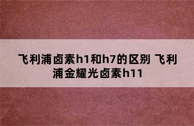 飞利浦卤素h1和h7的区别 飞利浦金耀光卤素h11